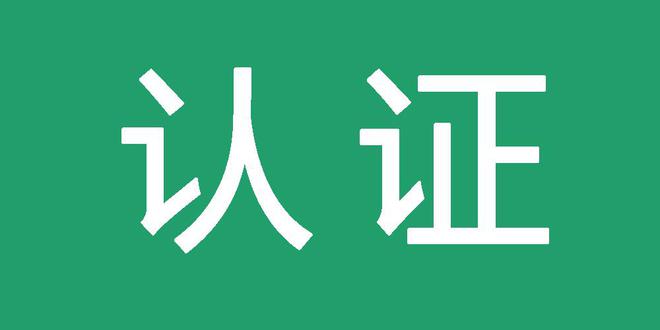 站群蜘蛛池出租